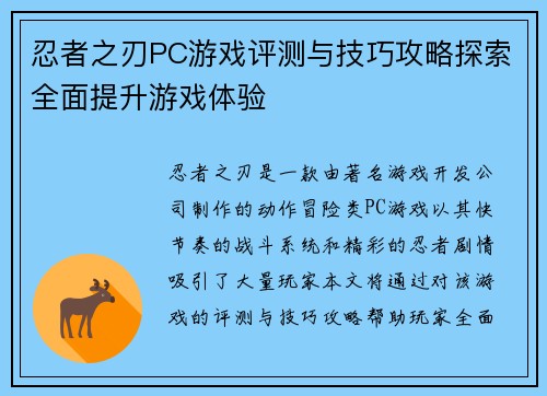 忍者之刃PC游戏评测与技巧攻略探索全面提升游戏体验