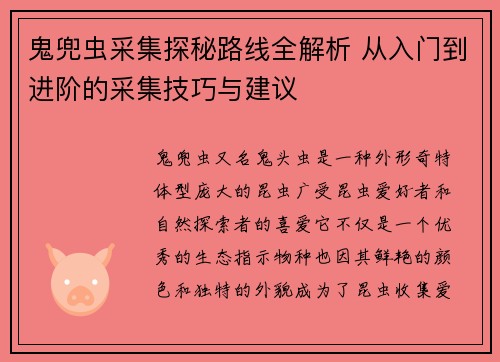 鬼兜虫采集探秘路线全解析 从入门到进阶的采集技巧与建议
